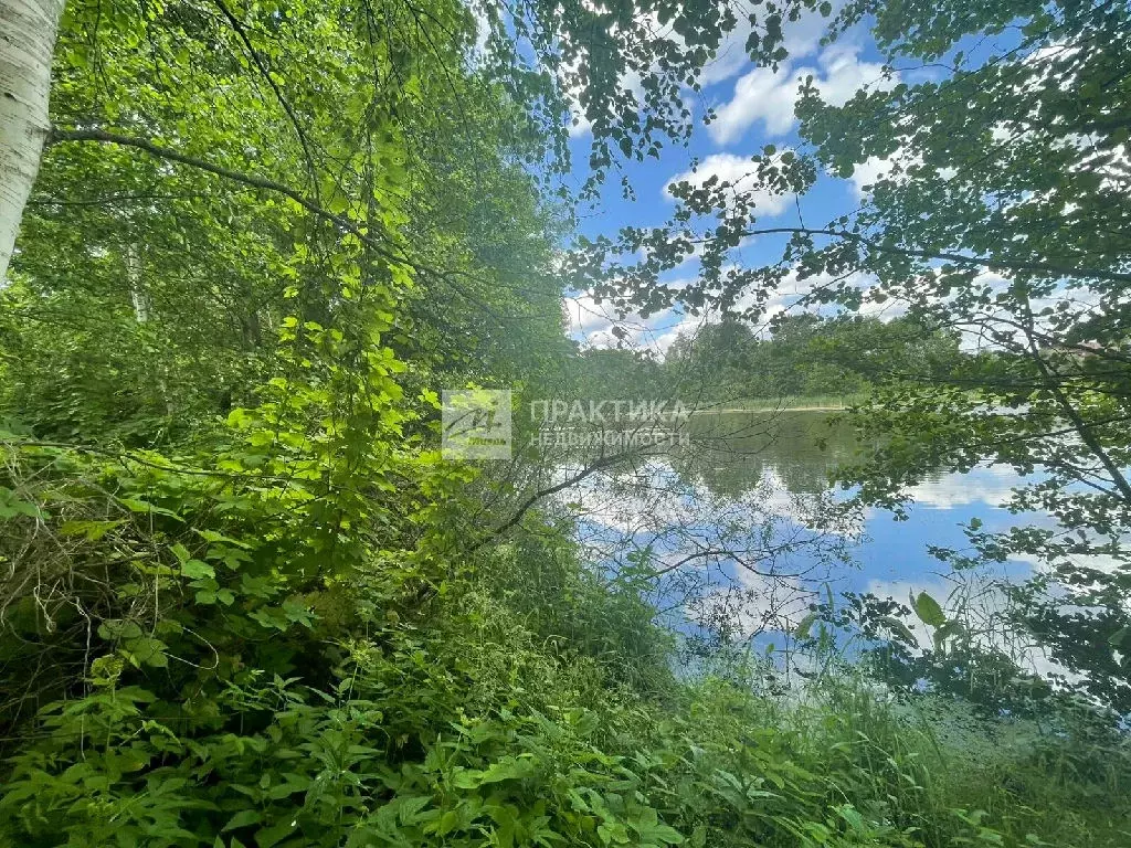 Продается участок в д. Ишино - Фото 1