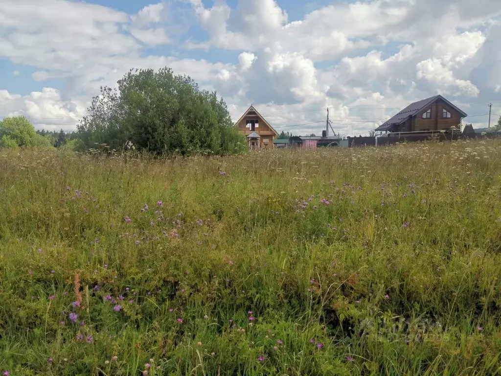 Участок в Московская область, Истра муниципальный округ, д. Курово  ... - Фото 1