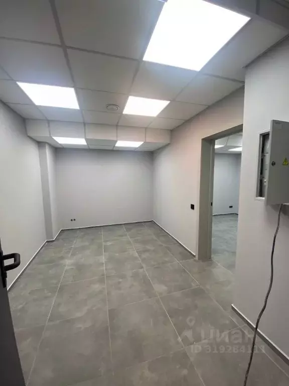 Торговая площадь в Новосибирская область, Новосибирский район, ... - Фото 2