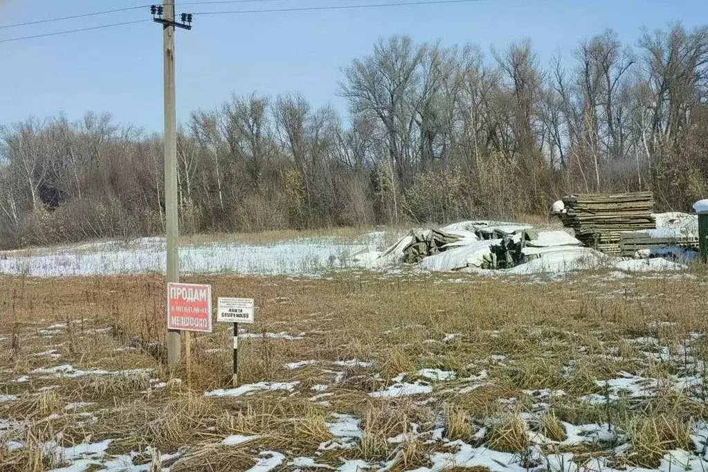Участок в Оренбургская область, с. Сакмара ул. Объездная (10.0 сот.) - Фото 2