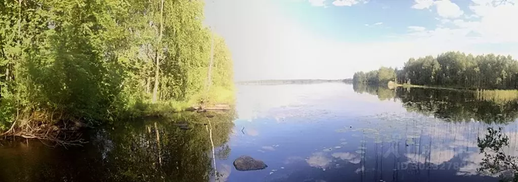 Дом в Карелия, Медвежьегорский район, Чебинское с/пос, пос. Кумса-2 ... - Фото 0