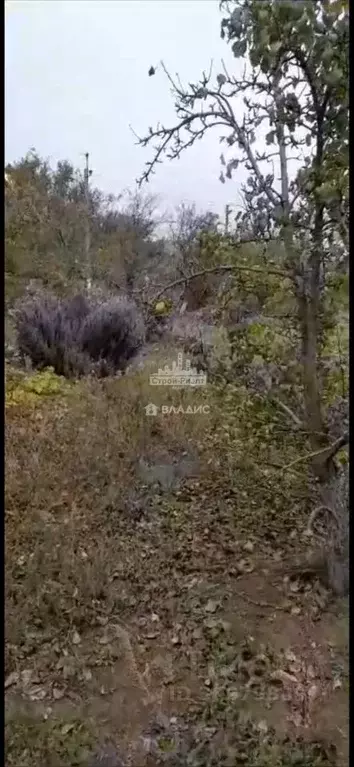 Участок в Крым, Ленинский район, Глазовское с/пос, с. Глазовка ул. ... - Фото 1