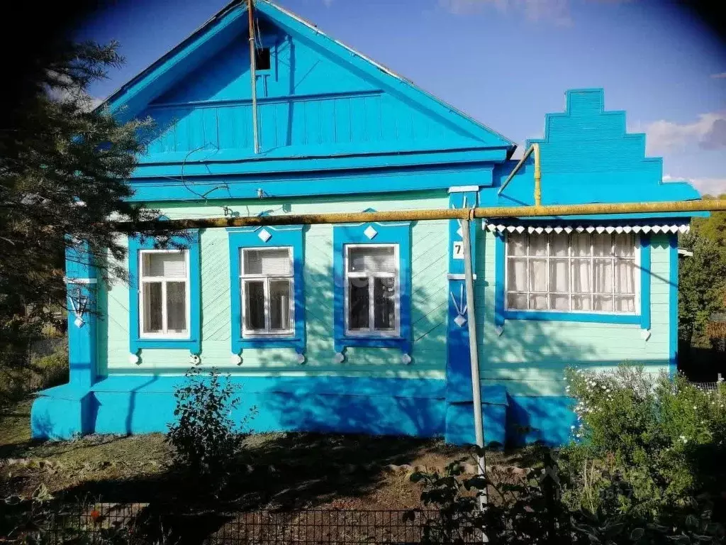 Дом в Пензенская область, Бессоновский район, с. Вазерки ул. ... - Фото 0