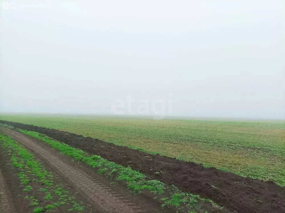 Участок в Семисотка, Восточная улица, 28 (1064.2 м) - Фото 2