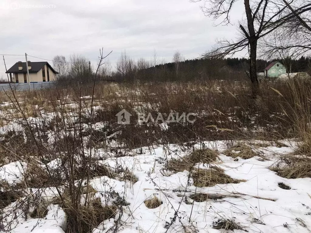 Участок в Московская область, городской округ Воскресенск, село ... - Фото 1