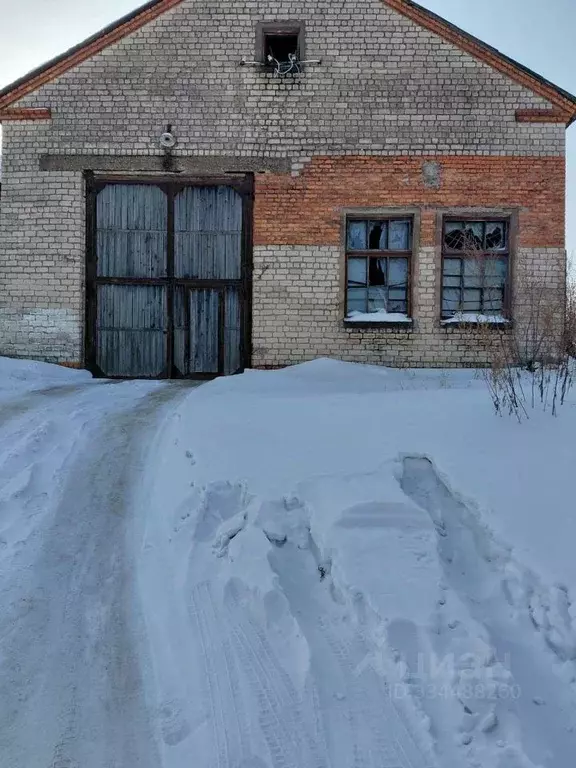 Помещение свободного назначения в Еврейская автономная область, ... - Фото 1