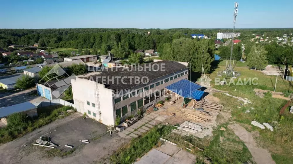 Производственное помещение в Рязанская область, Спасский район, ... - Фото 0