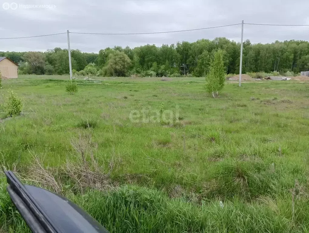 Участок в Сузунский район, Шарчинский сельсовет (9 м) - Фото 1