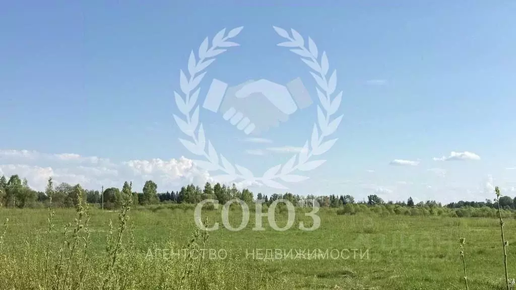 Участок в Калужская область, Медынский муниципальный округ, с. Адуево  ... - Фото 1