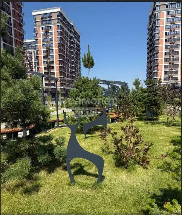 Студия Краснодарский край, Краснодар ул. Ивана Беличенко, 88к3 (23.0 ... - Фото 2