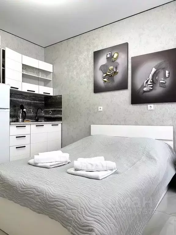 Студия Адыгея, Майкоп ул. К.А. Васильева, 2к2 (20.0 м) - Фото 1