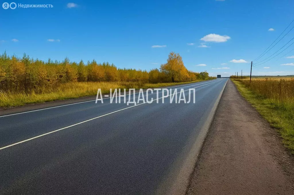 Участок в деревня Кучино, территория Колосок-Овчинки, 110 (6.5 м) - Фото 1