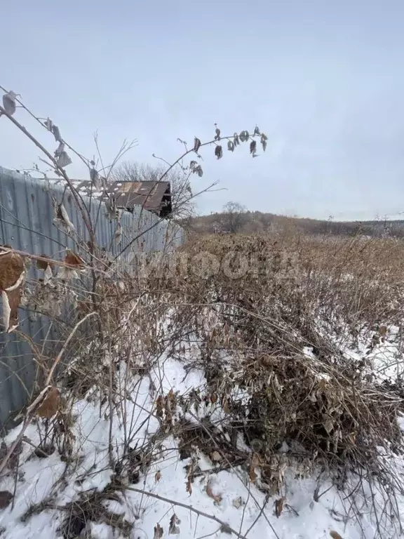 Участок в Амурская область, Благовещенск  (10.0 сот.) - Фото 2