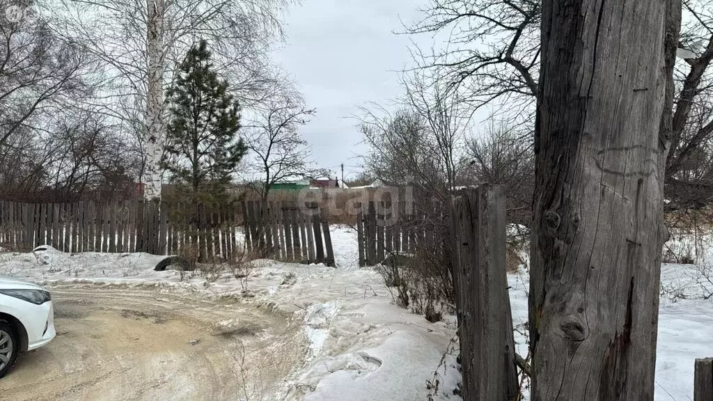 Участок в Черногорск, садоводческое некоммерческое товарищество район ... - Фото 0