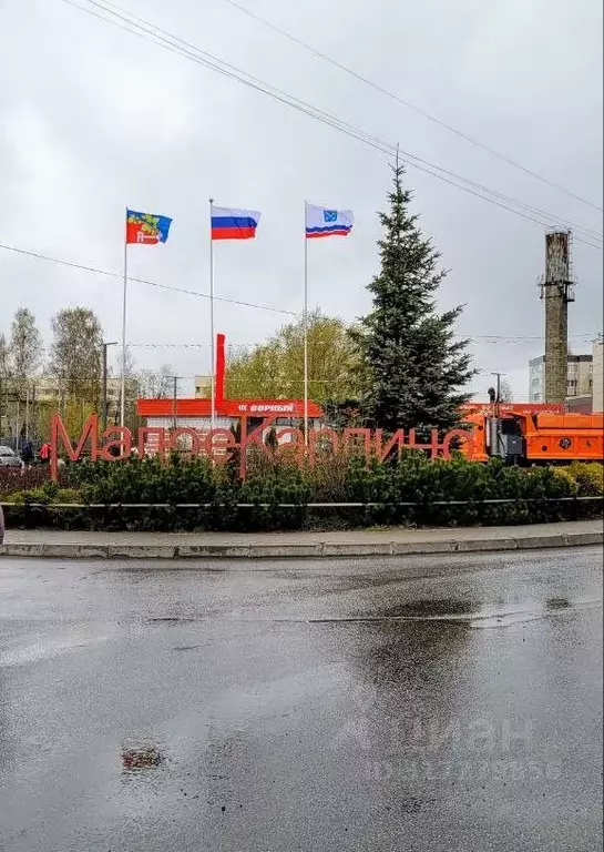 2-к кв. Ленинградская область, Ломоносовский район, Виллозское ... - Фото 0