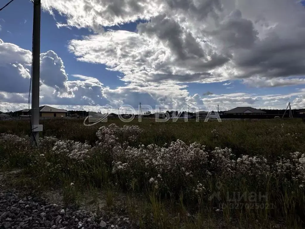 Участок в Тюменская область, Тюменский муниципальный округ, д. ... - Фото 2