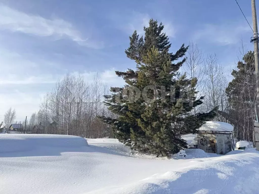 Участок в Новосибирская область, Новосибирский район, Барышевский ... - Фото 1