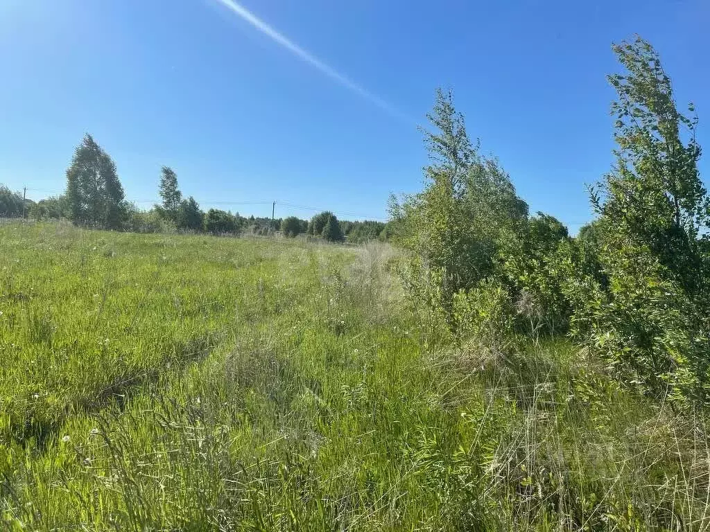 Участок в Ярославская область, Ярославский муниципальный округ, д. ... - Фото 2