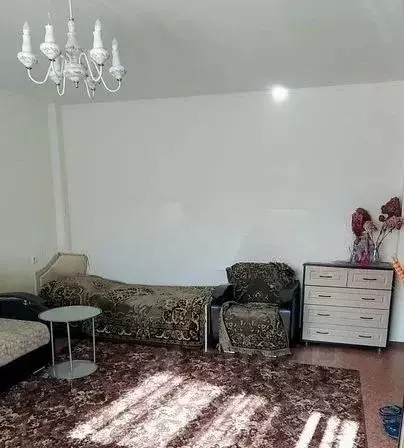 1-к кв. Новосибирская область, Новосибирск Затулинский жилмассив, ул. ... - Фото 2