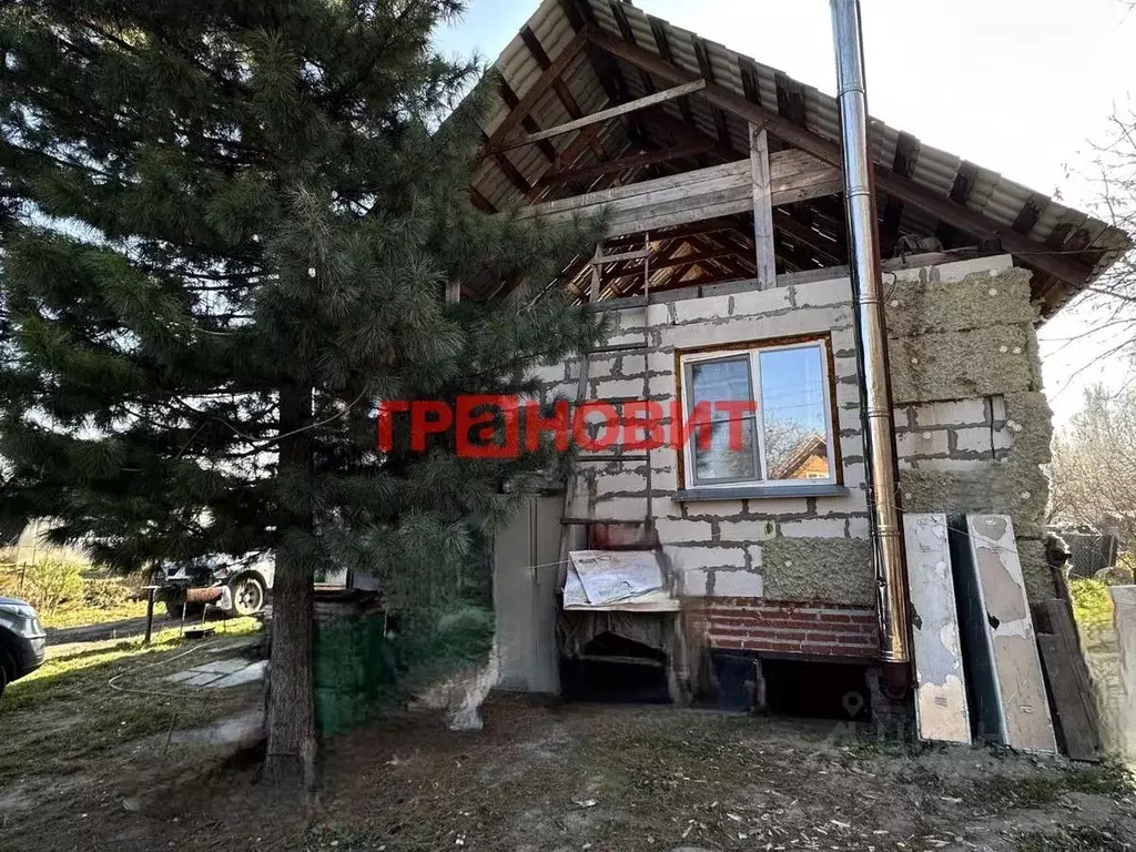 Дом в Новосибирская область, Новосибирск Любитель СТ, 126 (130 м) - Фото 1