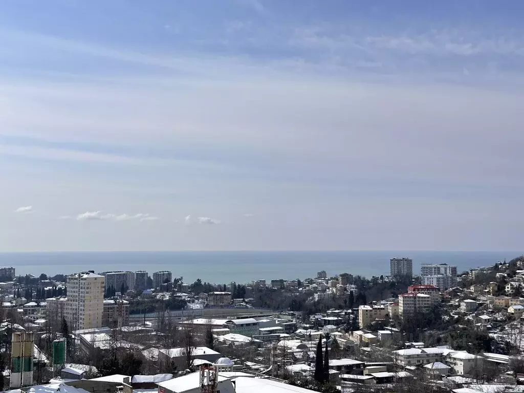 Студия Краснодарский край, Сочи ул. Тимирязева, 29/2 (29.0 м) - Фото 2