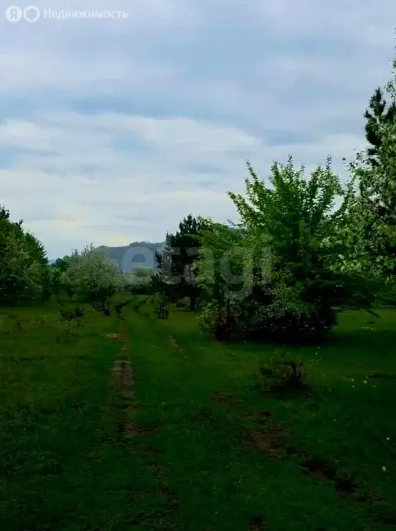 Участок в Чемальский район, Ветряная улица (14 м) - Фото 1