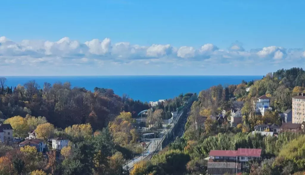 Студия Краснодарский край, Сочи Виноградная ул., 135/13 (34.1 м) - Фото 1