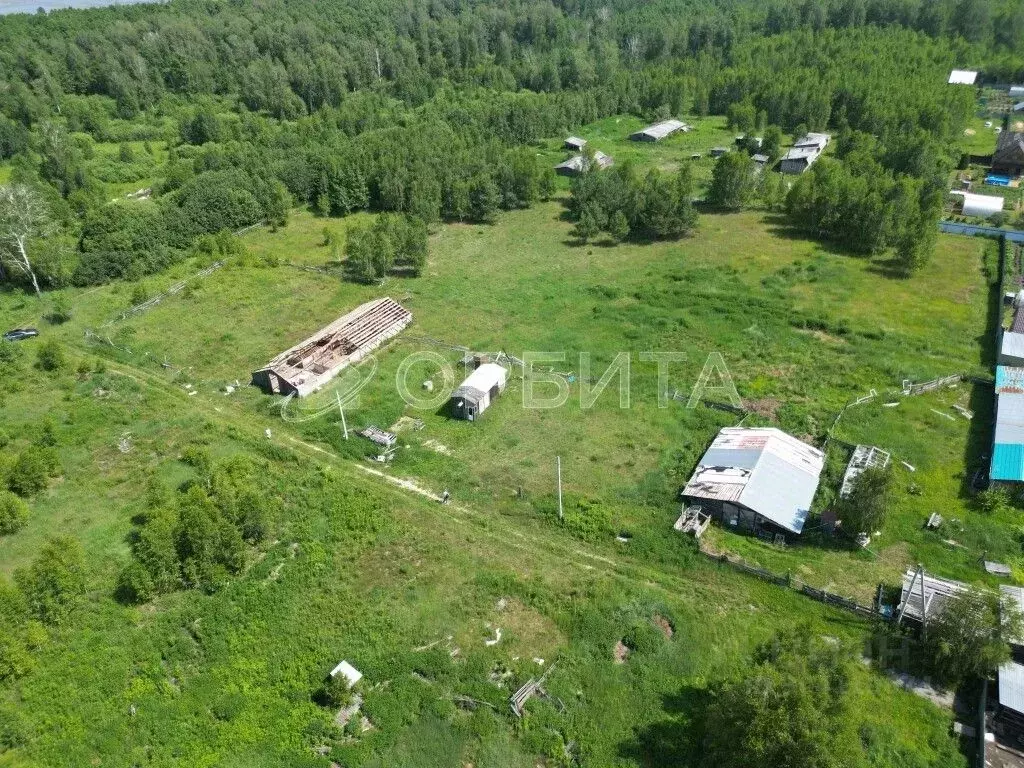 Участок в Тюменская область, Тюменский район, д. Головина  (7.24 сот.) - Фото 1