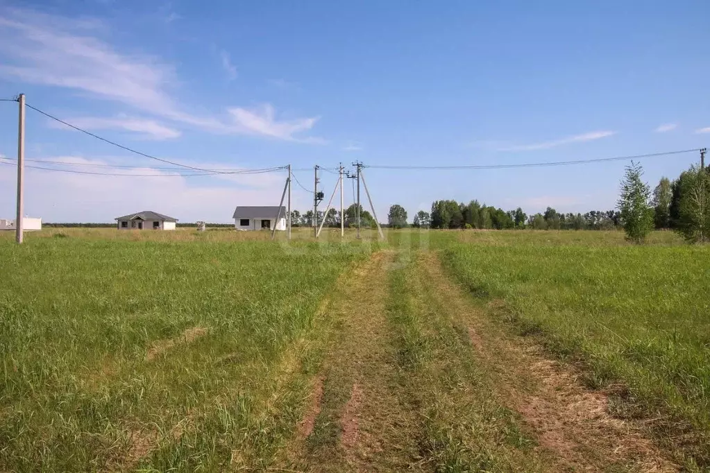 Участок в Алтайский край, Первомайский район, с. Фирсово, Полесье мкр  ... - Фото 1