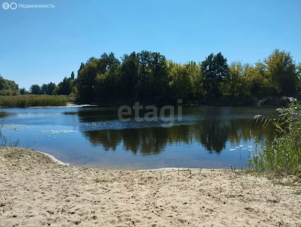 Участок в Воронеж, СНТ Садовод (10 м) - Фото 2