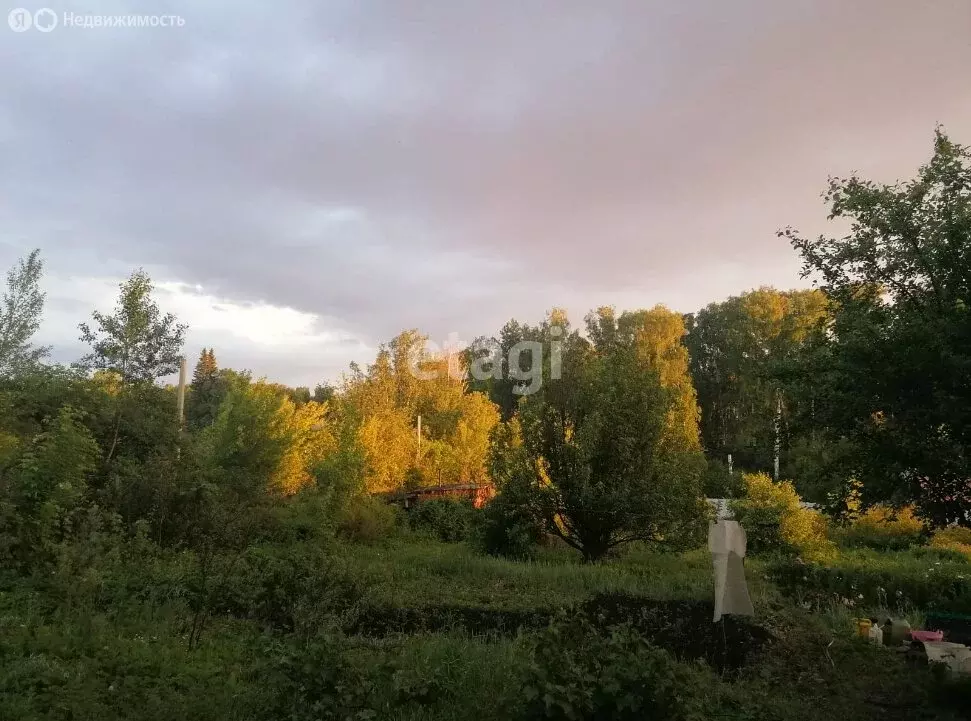 Участок в Мошковский район, садовое товарищество Смородинка (3.6 м) - Фото 0