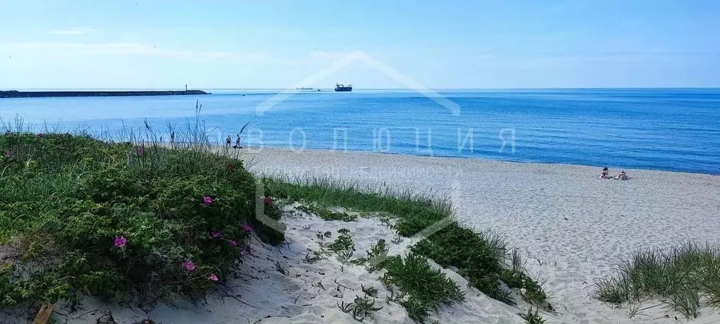 Участок в Калининградская область, Балтийск Балтийский прибой СНТ, ... - Фото 1