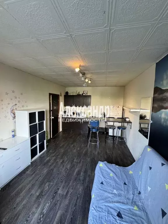 Комната Санкт-Петербург просп. Косыгина, 9К1 (20.0 м) - Фото 1