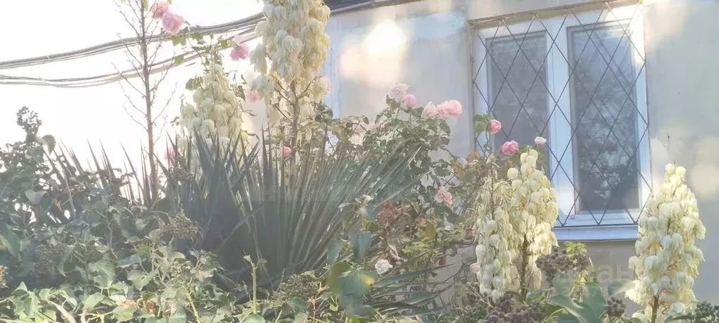 Комната Севастополь ул. Героев Подводников, 8 (13.0 м) - Фото 2