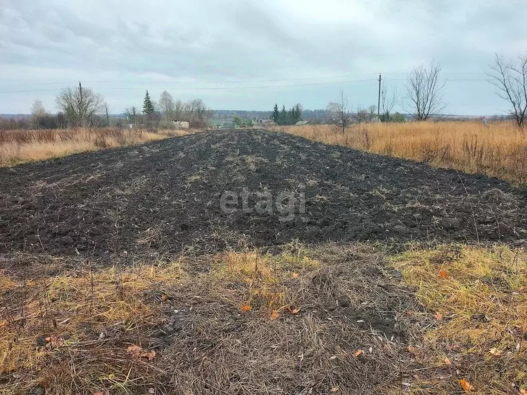 Участок в Орловская область, Орловский район, д. Нижняя Калиновка ул. ... - Фото 1