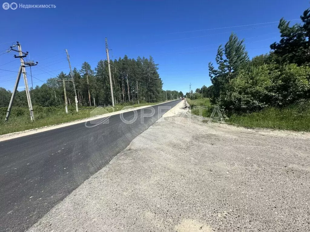Участок в Нижнетавдинский район, село Тюнево (10 м) - Фото 0