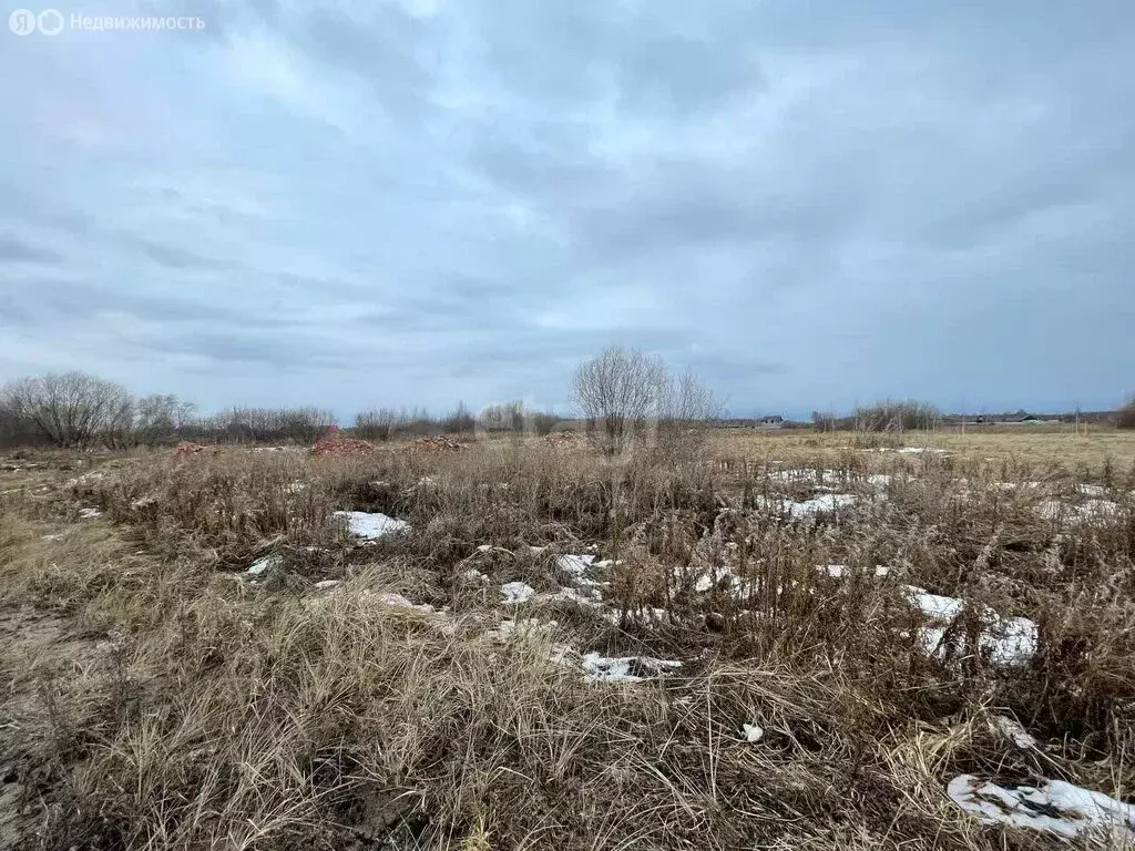 Участок в Нижнетавдинский район, садовое товарищество Душевное, 2-я ... - Фото 1