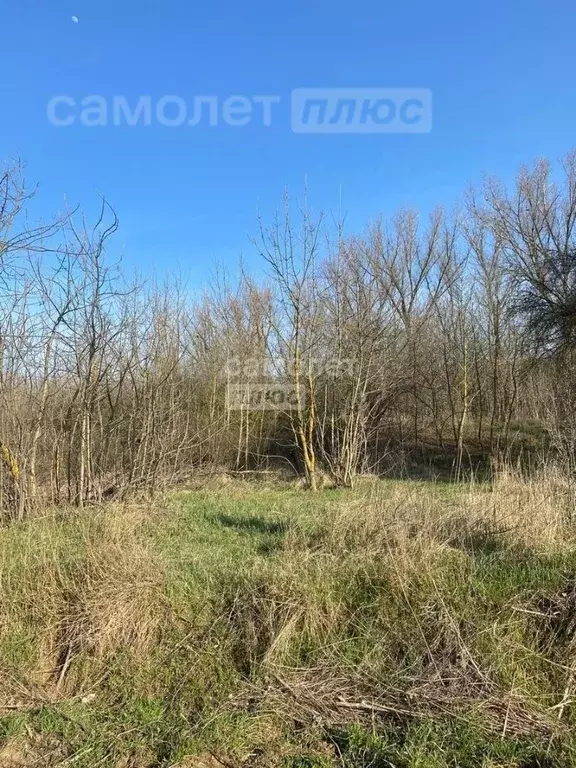 участок в краснодарский край, темрюк надежда сот, ул. морская (7.33 . - Фото 1