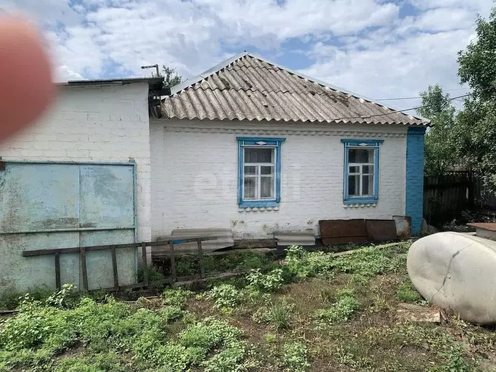 Дом в Белгородская область, Вейделевский район, с. Белый Колодезь ул. ... - Фото 1