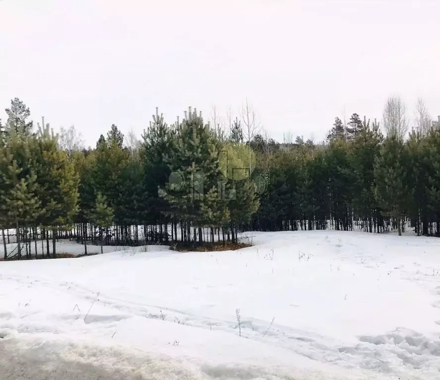 Участок в Иркутская область, Иркутский муниципальный округ, с. ... - Фото 1