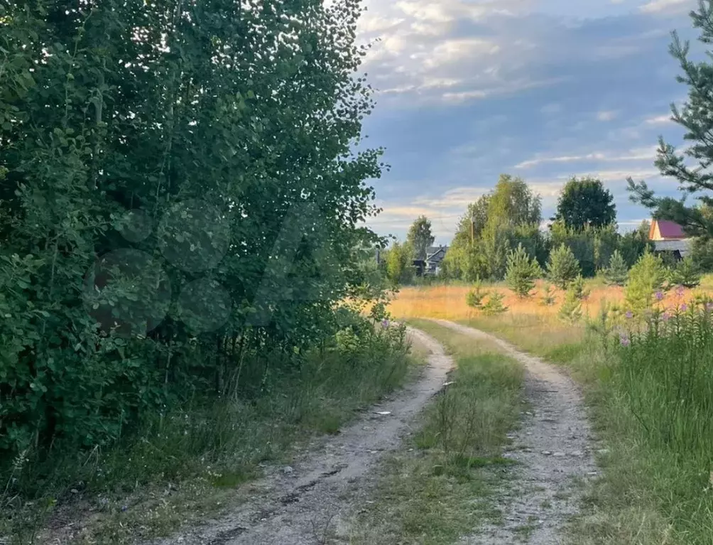 Участок 10 сот. (ИЖС) - Фото 0