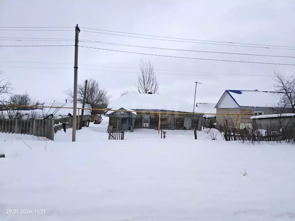 Участок в Воронежская область, Грибановский пгт ул. Народная, 66 (10.0 ... - Фото 2