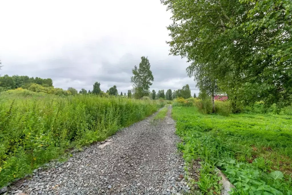 Участок в Тюменская область, Нижнетавдинский муниципальный округ, ... - Фото 1