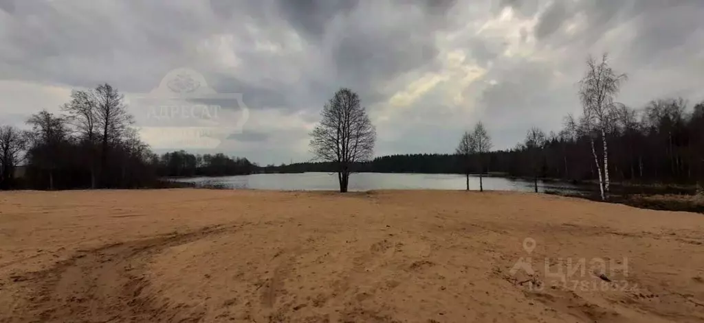 Участок в Ленинградская область, Всеволожский район, Лесколовское ... - Фото 0