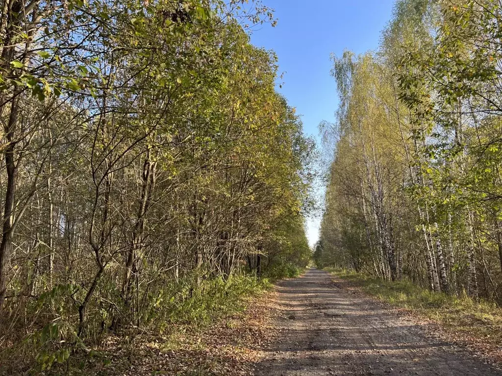 Участок в Тверская область, Калининский муниципальный округ, д. ... - Фото 1