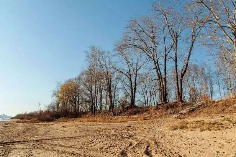 Студия Пермский край, Пермь Ленская ул., 30 (50.19 м) - Фото 1