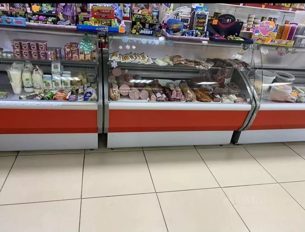 Помещение свободного назначения в Краснодарский край, Краснодар пос. ... - Фото 2