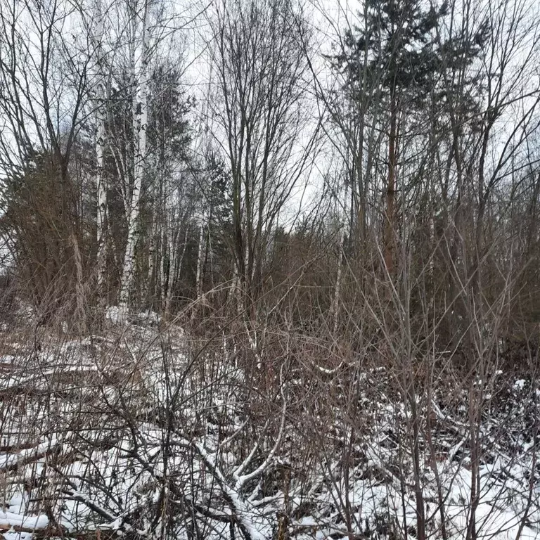 Участок в Московская область, Ступино городской округ, д. Прудно ул. ... - Фото 0