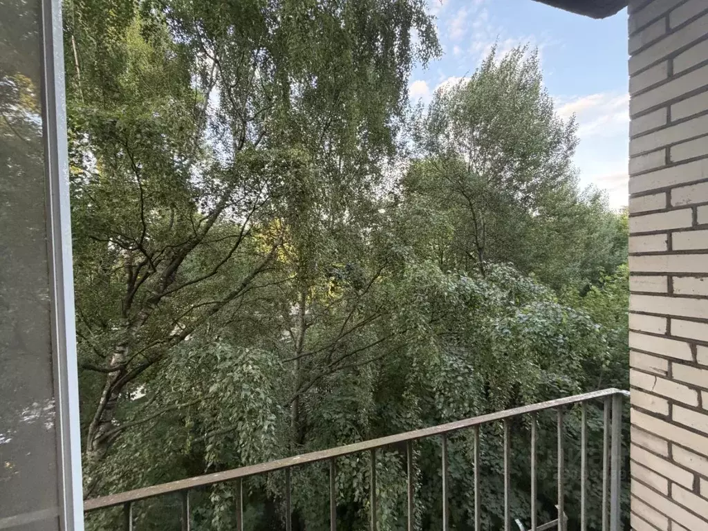 2-к кв. Санкт-Петербург ул. Матроса Железняка, 39 (47.6 м) - Фото 2