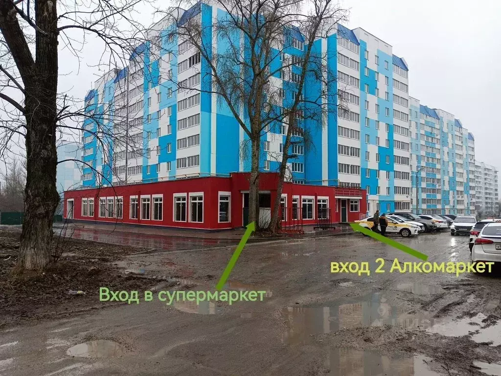 Помещение свободного назначения в Московская область, Коломна ул. ... - Фото 1